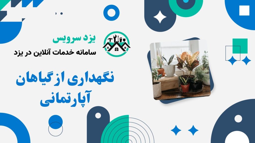 نگهداری از گیاهان آپارتمانی